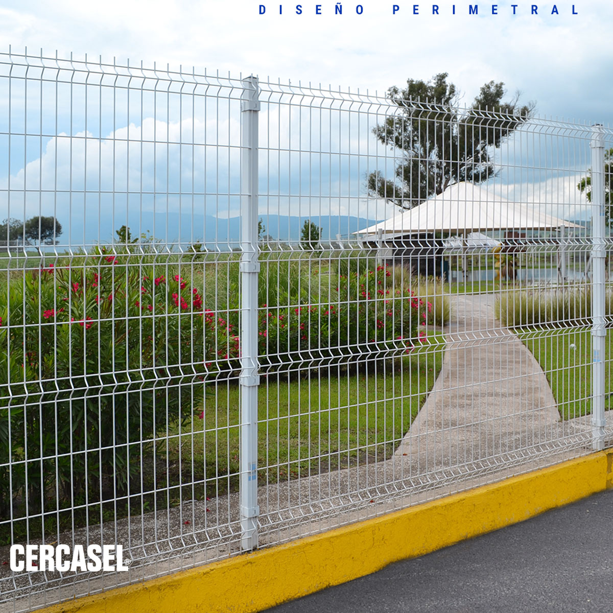 Cercasel 5
